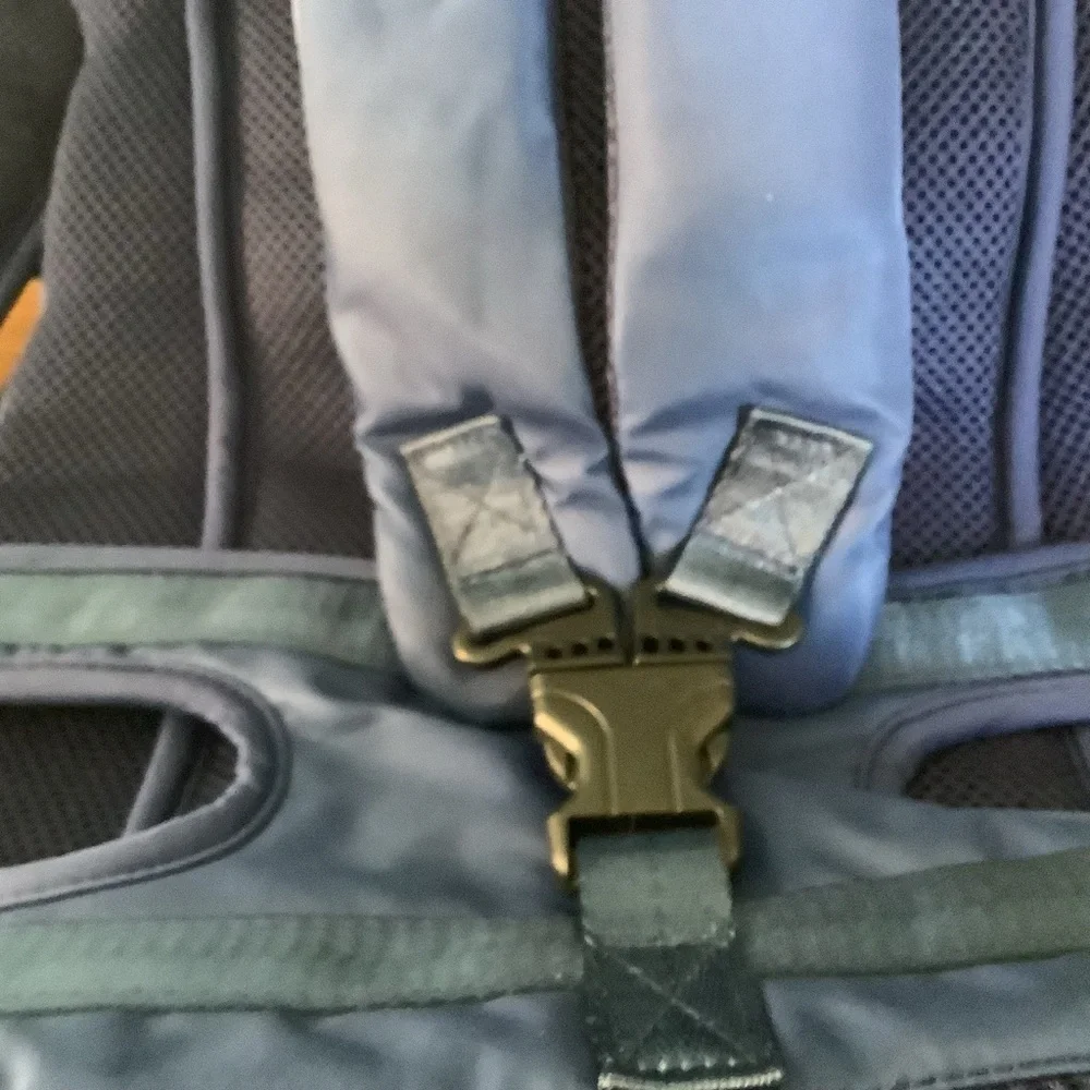 Pet carrier XL navy blue, made by Petbonus